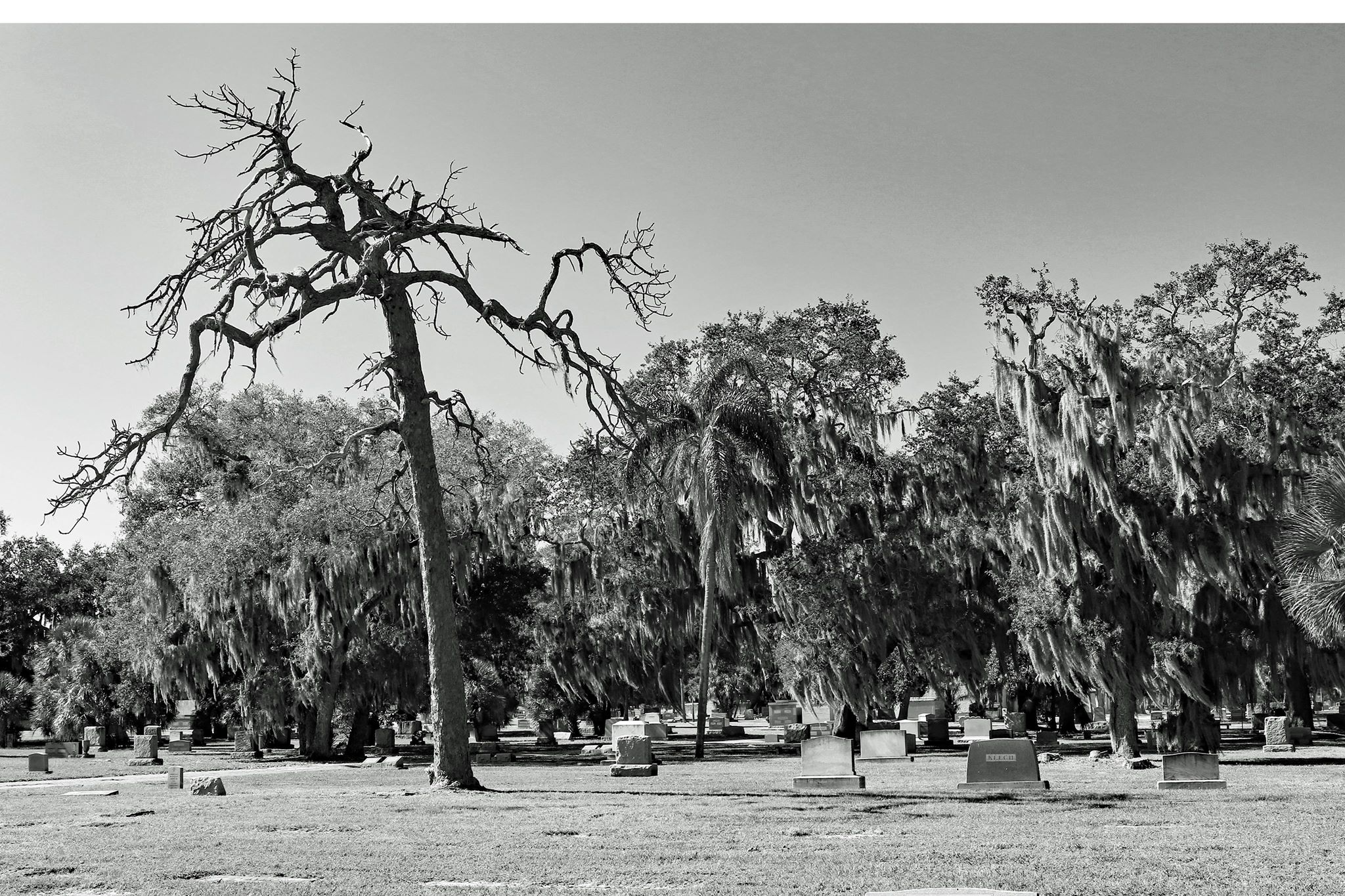 46640310_280819612573252_6969305910661349376_n