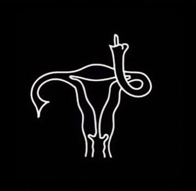 60255266_10157473234844268_4347978883333619712_n