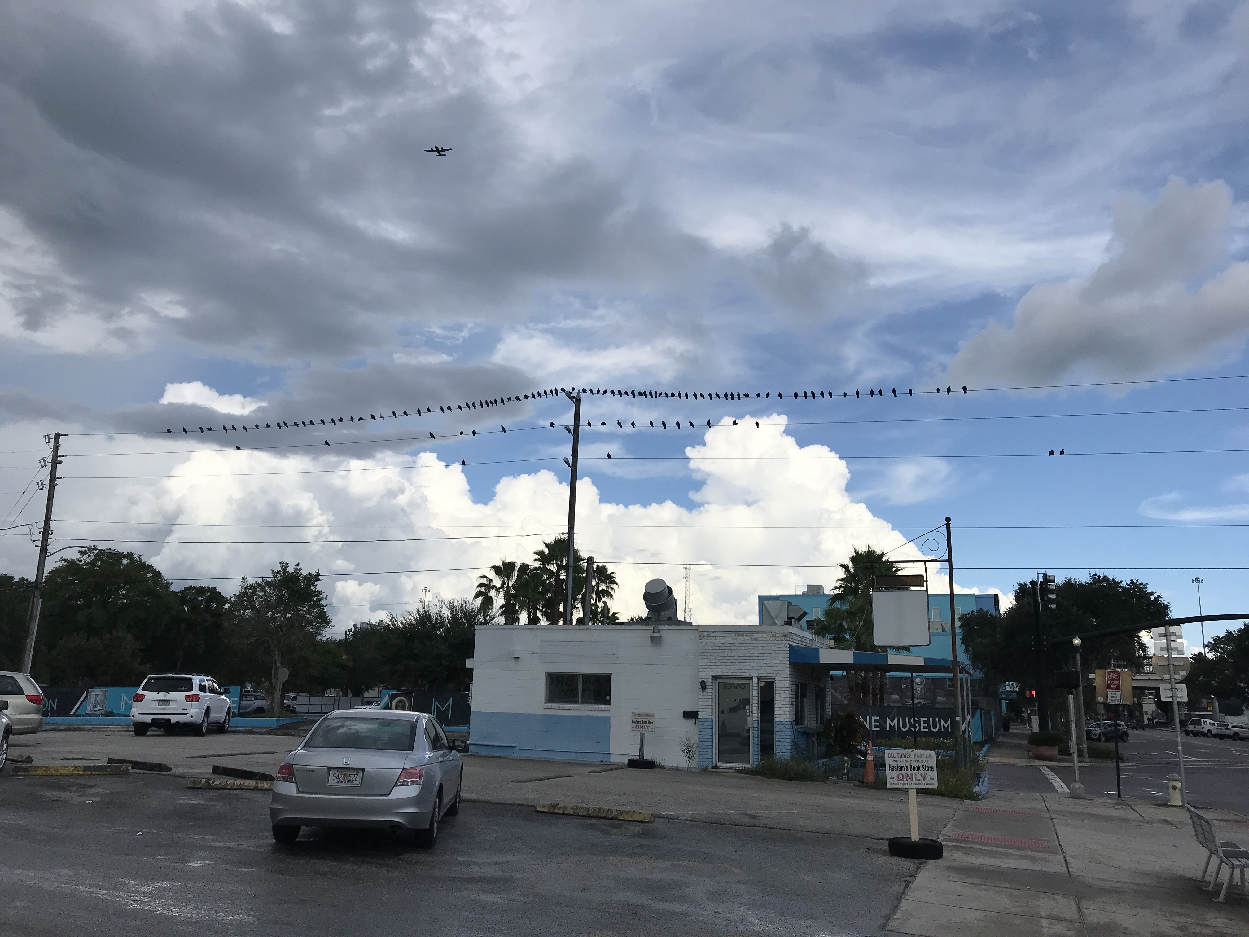 59225896505__49970B89-8A8F-4729-A9A7-4339318588FD