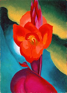 220px-Georgia_O'Keeffe_Red_Canna_1919_HMA