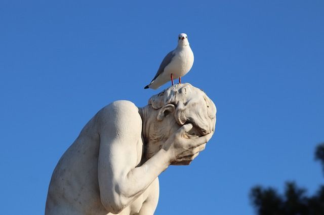 stone-statue-seagull_31