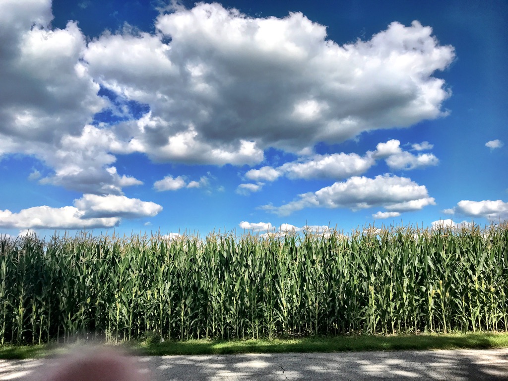 WDPYI0OTThWvW9rYoKT%6w_thumb_bc5