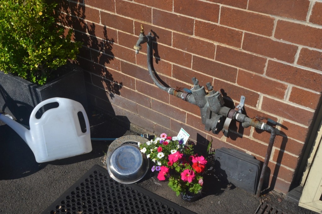 rowena-curtin-back-door